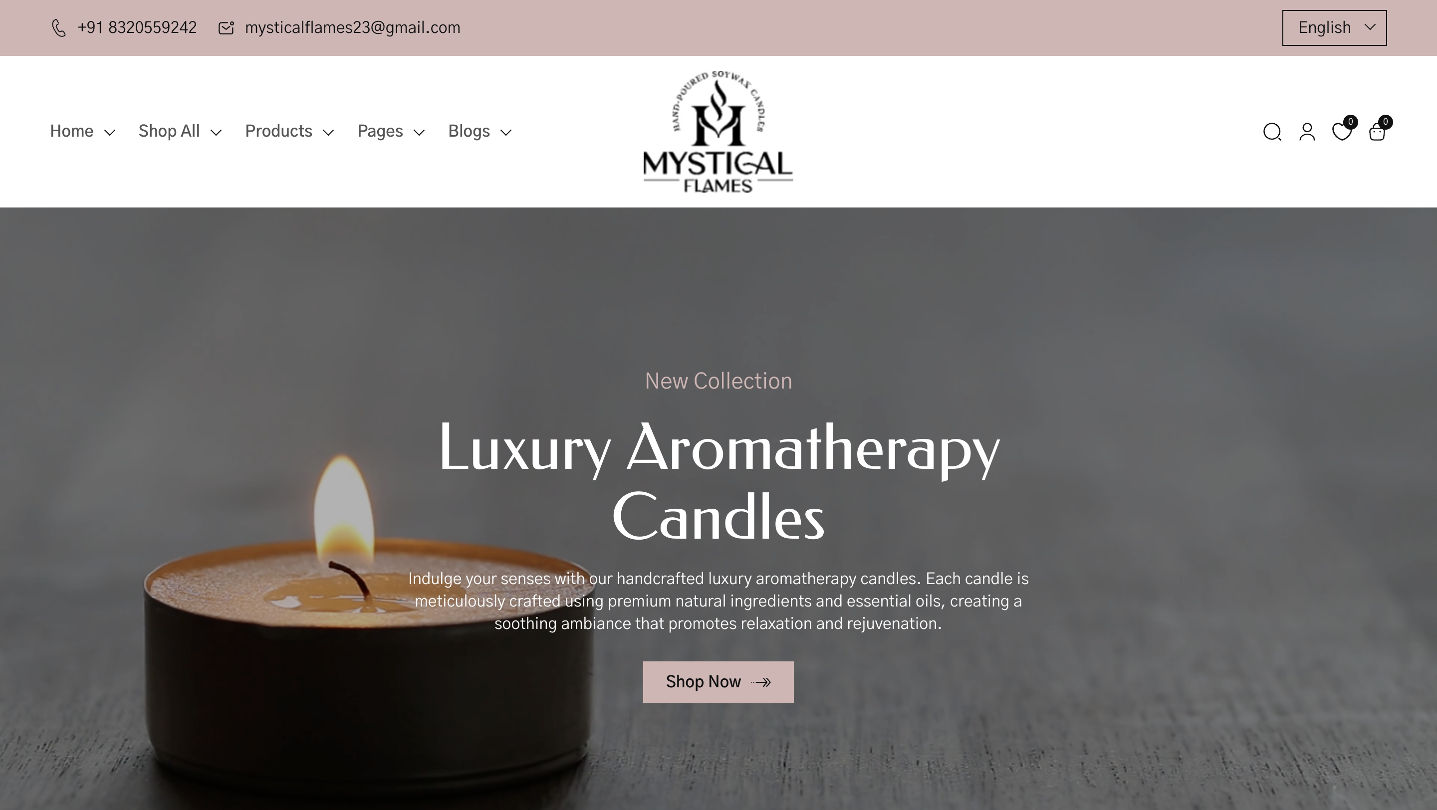 Ecommerce Website