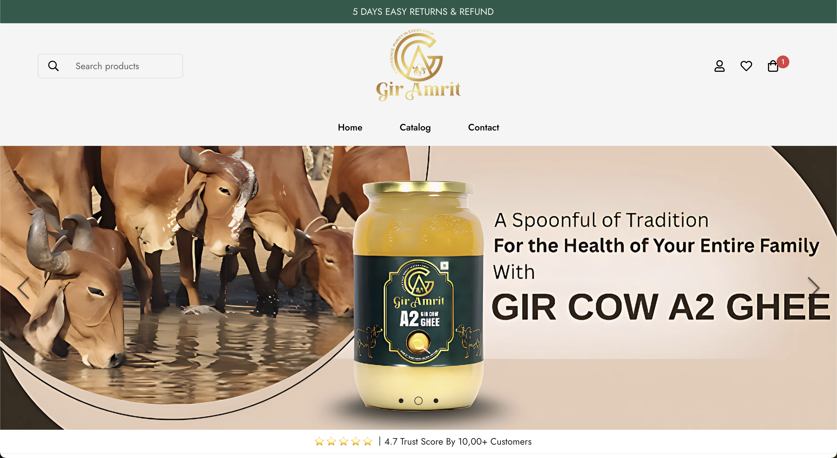 Ecommerce Website